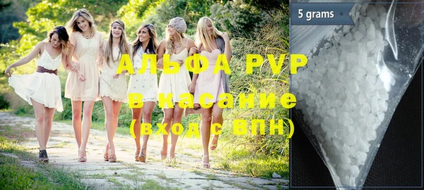 винт Пересвет
