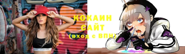 твердый Пестово