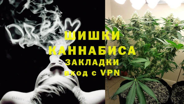 винт Пересвет