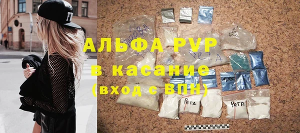винт Пересвет