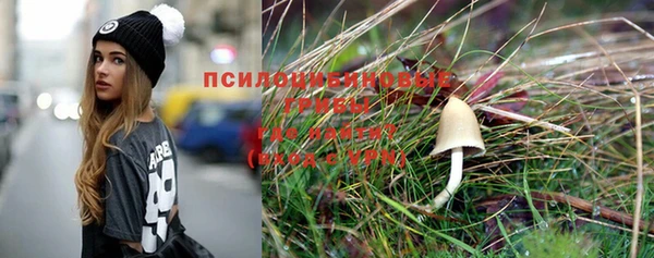 винт Пересвет
