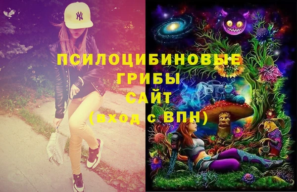 твердый Пестово