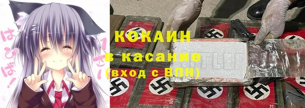 винт Пересвет