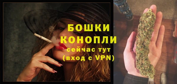твердый Пестово
