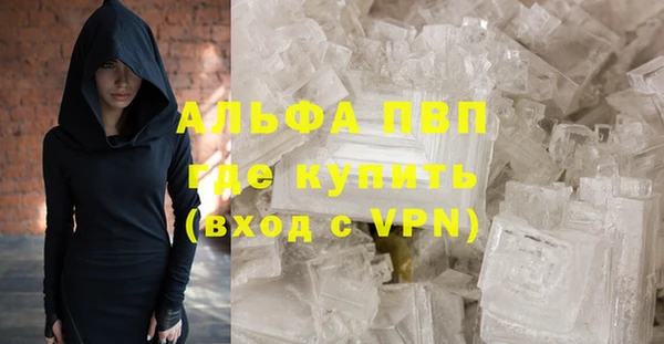 винт Пересвет