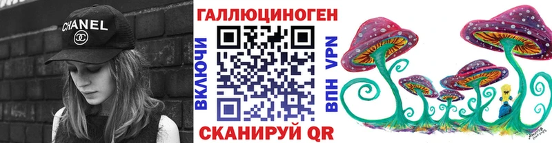 Галлюциногенные грибы Psilocybine cubensis Кольчугино