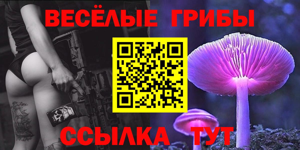 Галлюциногенные грибы MAGIC MUSHROOMS  Вход с VPN  Кольчугино 