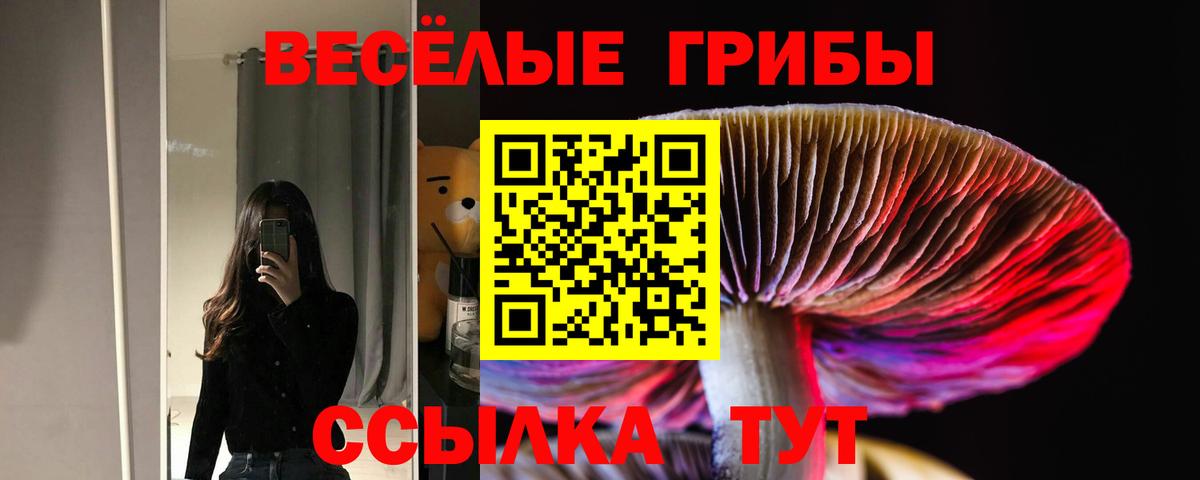 Псилоцибиновые грибы GOLDEN TEACHER Кольчугино