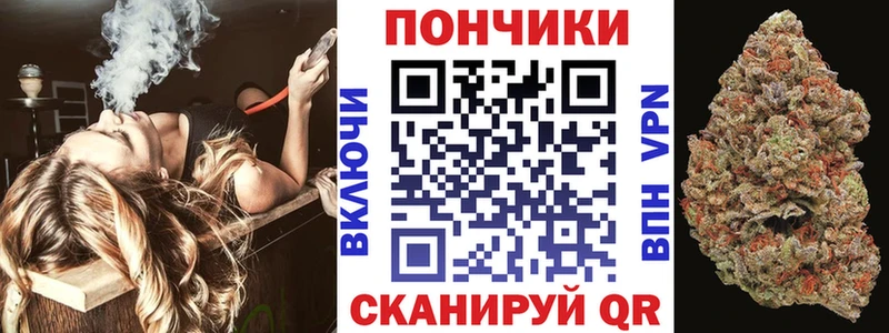 Конопля индика  Кольчугино 